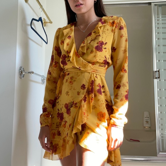 Aritzia Louise Dress - Picture 2 of 5